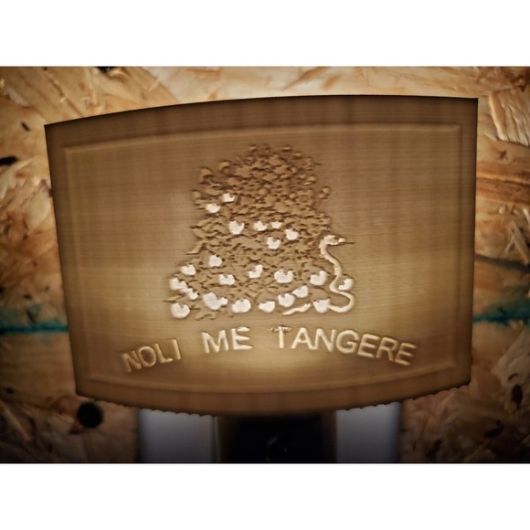 Custom | Accents | Custom 3d Print Lithophane Nightlight Noli Me ...